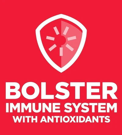 Hill's Science Plan Adult Perfect Weight Large Breed Dog Food with Chicken 12KG